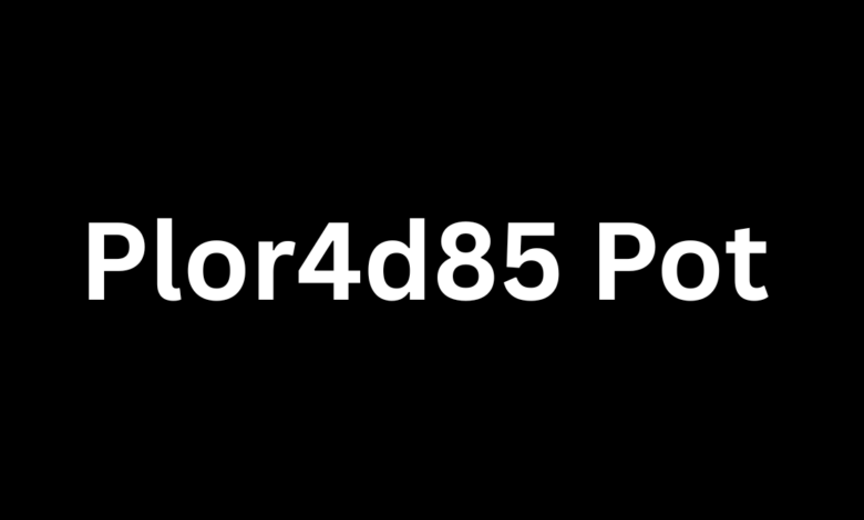 Plor4d85 Pot